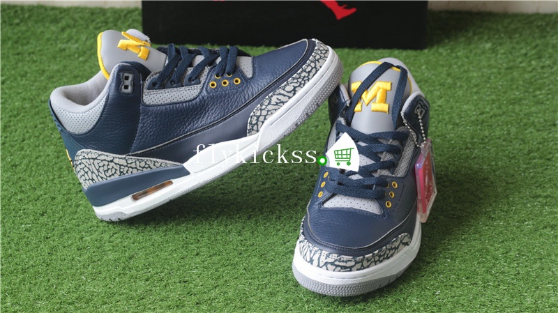 michigan retro 5